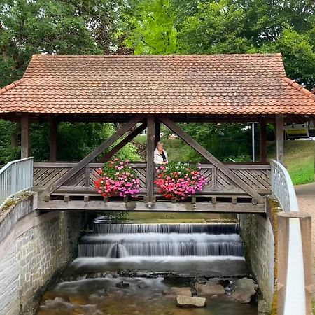 Ferienwohnung Haffner Kandern Luaran gambar